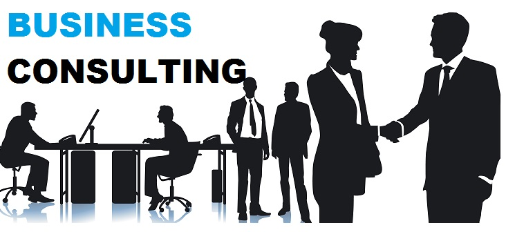 Trucking business consulting